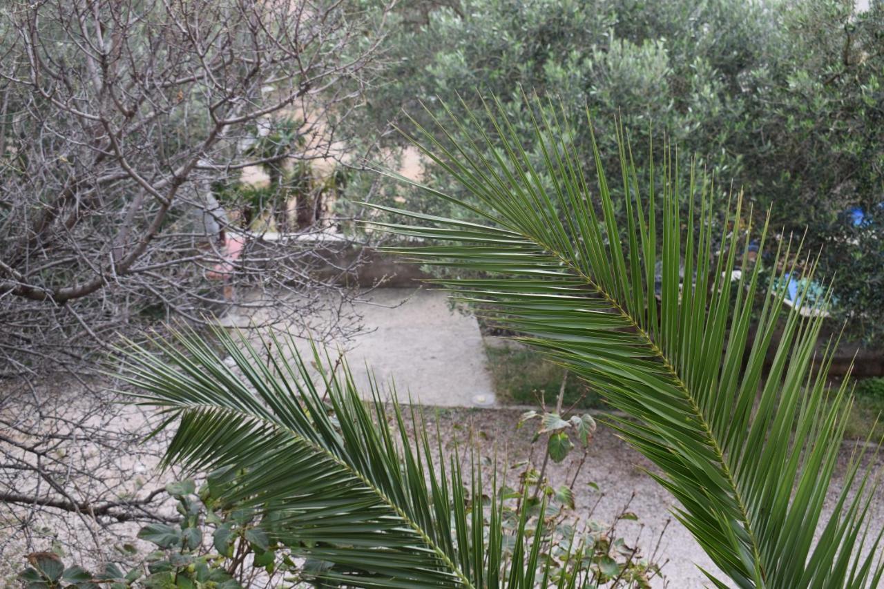 Apartments Loina Novalja Εξωτερικό φωτογραφία